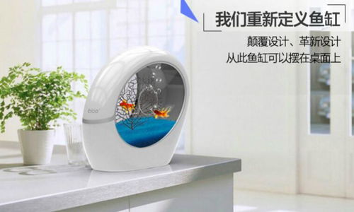 稀品匯 科技與新概念的互聯(lián)網(wǎng)營銷先鋒，引領(lǐng)布加桌寶線上銷售新潮流
