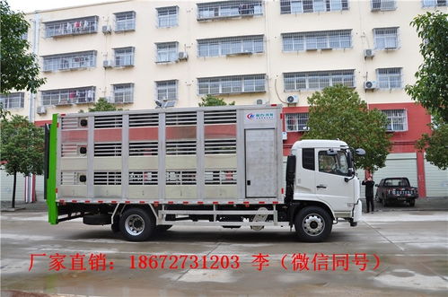 帶發電機畜禽專用車廠家價格現貨配置大全——豬仔運輸車選購指南