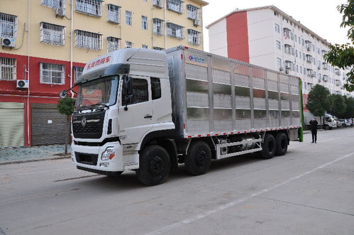 濮陽東風天龍前四后八鋁合金畜禽運豬車 高效、安全、專業(yè)的豬仔運輸解決方案