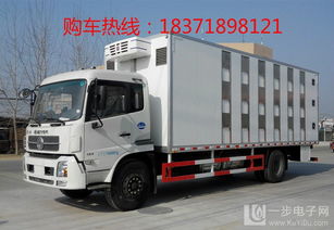 豬苗車價格深度解析 為您揭曉豬仔運輸車的市場行情
