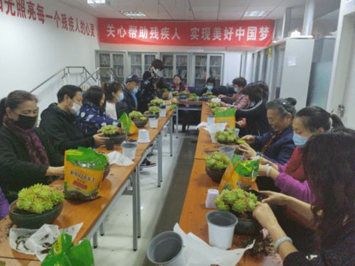 相聚家園,共話未來